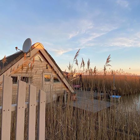 Pfahlbau Neusiedlersee - Waterfront - Erste Reihe Rust Eksteriør billede