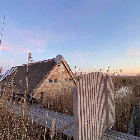 Pfahlbau Neusiedlersee - Waterfront - Erste Reihe Rust Eksteriør billede